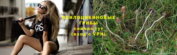 наркотики Алексеевка