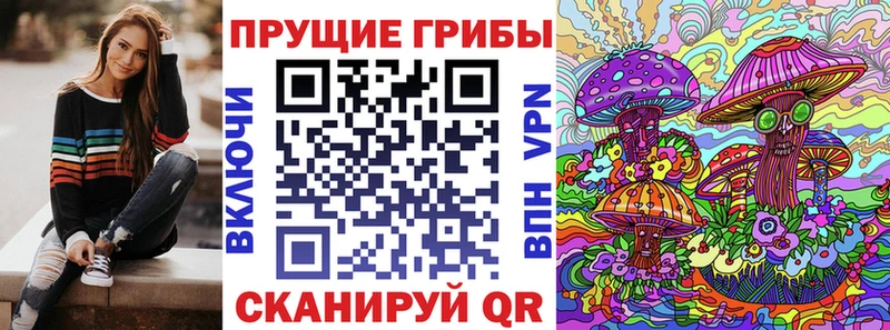 блэк спрут онион  Мензелинск  Галлюциногенные грибы Psilocybe  купить закладку 